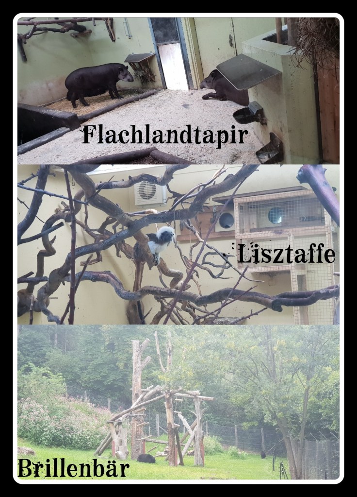 PicsArt_01-23-08.06.19