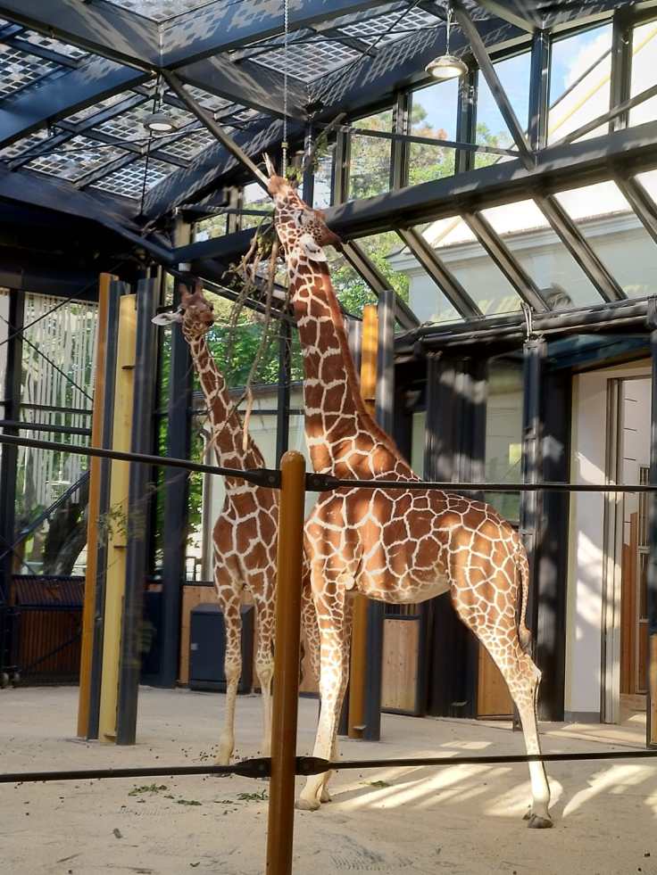 1c706f17-95cc-4eff-aaba-814925f957d2